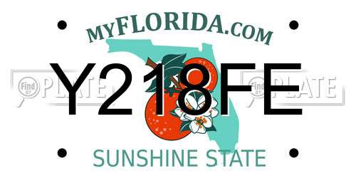 Y218FE Florida License Plate