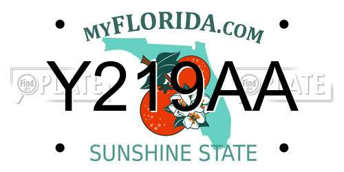 Y219AA Florida License Plate