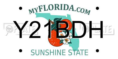 Y21BDH Florida License Plate