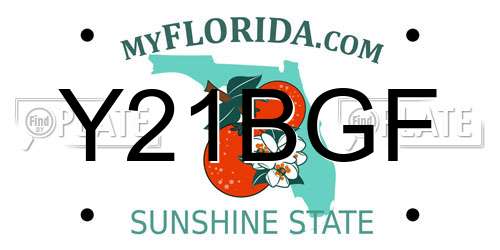 Y21BGF Florida License Plate