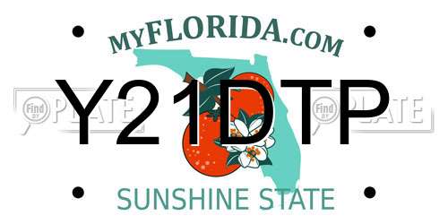 Y21DTP Florida License Plate