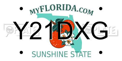 Y21DXG Florida License Plate