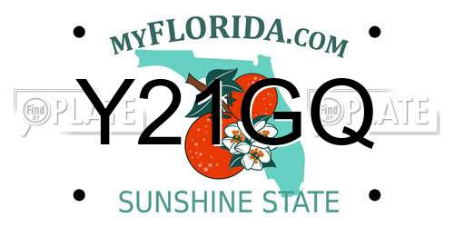 Y21GQ Florida License Plate