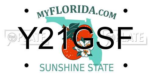 Y21GSF Florida License Plate