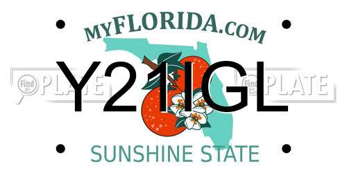 Y21IGL Florida License Plate