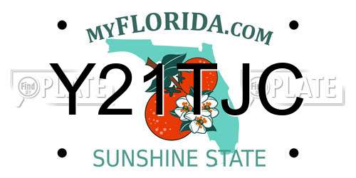 Y21TJC Florida License Plate
