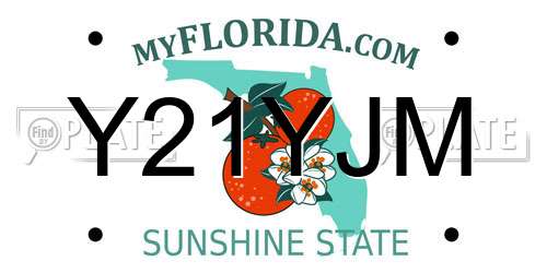 Y21YJM Florida License Plate