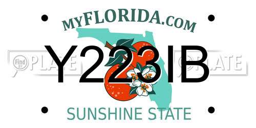 Y223IB Florida License Plate