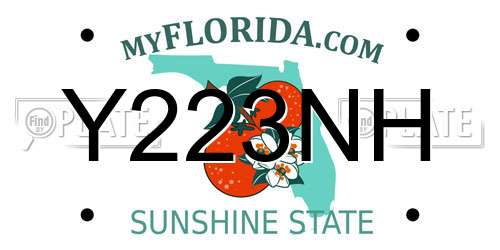 Y223NH Florida License Plate