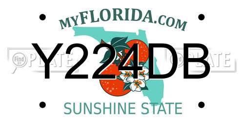 Y224DB Florida License Plate