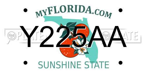 Y225AA Florida License Plate