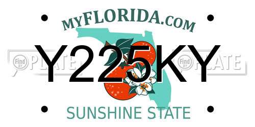 Y225KY Florida License Plate