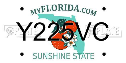 Y225VC Florida License Plate