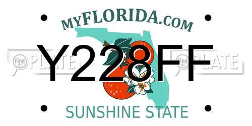 Y228FF Florida License Plate