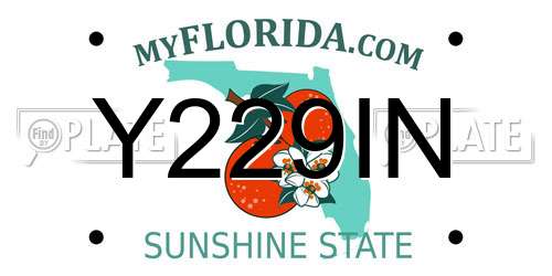 Y229IN Florida License Plate