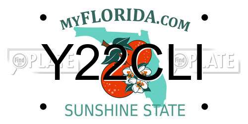Y22CLI Florida License Plate