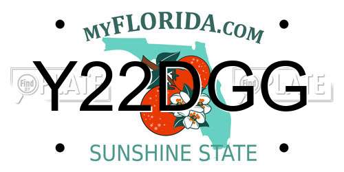 Y22DGG Florida License Plate