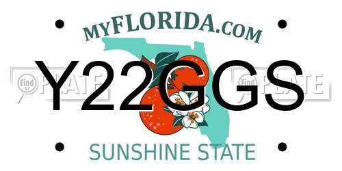Y22GGS Florida License Plate