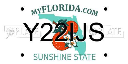 Y22IJS Florida License Plate