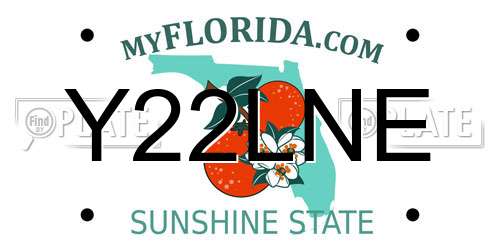 Y22LNE Florida License Plate