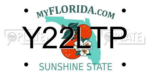 Y22LTP Florida License Plate