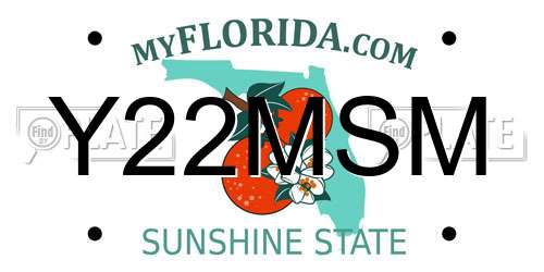 Y22MSM Florida License Plate