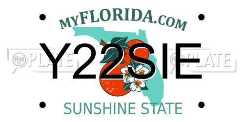 Y22SIE Florida License Plate