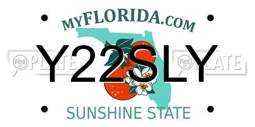 Y22SLY Florida License Plate