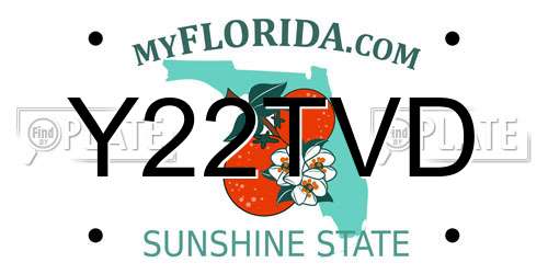 Y22TVD Florida License Plate