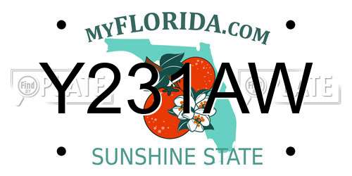Y231AW Florida License Plate