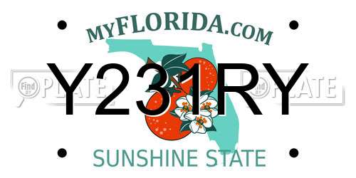 Y231RY Florida License Plate