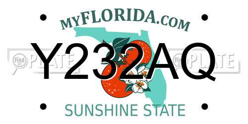 Y232AQ Florida License Plate