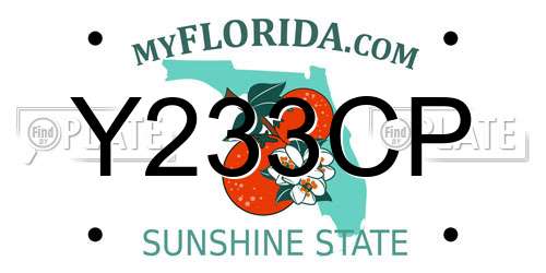 Y233CP Florida License Plate