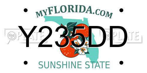 Y235DD Florida License Plate