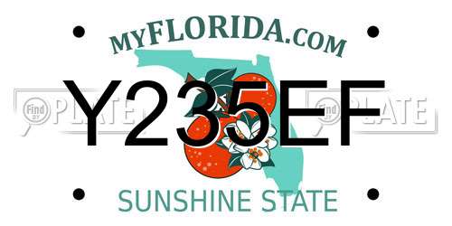 Y235EF Florida License Plate