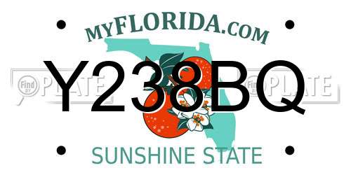 Y238BQ Florida License Plate