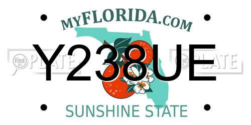 Y238UE Florida License Plate