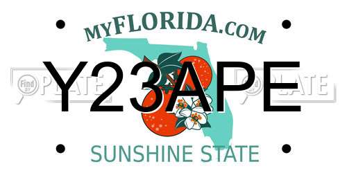 Y23APE Florida License Plate
