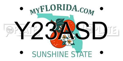 Y23ASD Florida License Plate