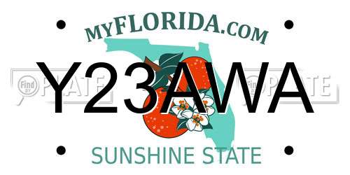Y23AWA Florida License Plate