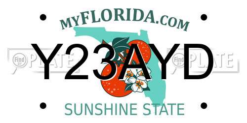 Y23AYD Florida License Plate