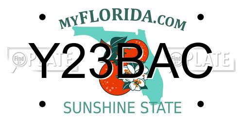 Y23BAC Florida License Plate