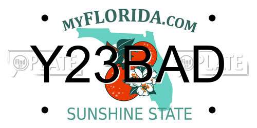 Y23BAD Florida License Plate