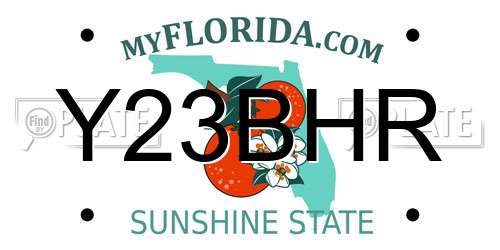 Y23BHR Florida License Plate