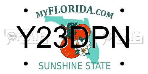 Y23DPN Florida License Plate