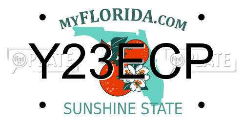 Y23ECP Florida License Plate