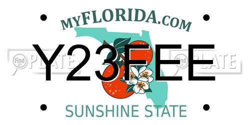 Y23FEE Florida License Plate