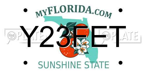Y23FET Florida License Plate