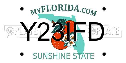 Y23IFD Florida License Plate