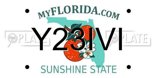 Y23IVI Florida License Plate